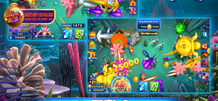 big fish h5 tai rikvip