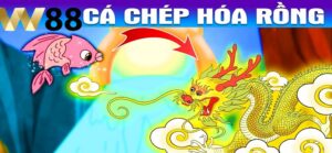 Tìm Hiểu Về Cơ Chế Hoạt Động Của Slot Cá Chép Hóa Rồng W88